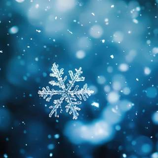 Snowflakes desktop wallpaper