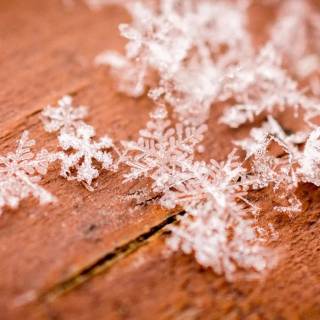 Snowflakes desktop wallpaper