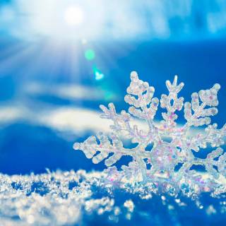 Snowflakes desktop wallpaper