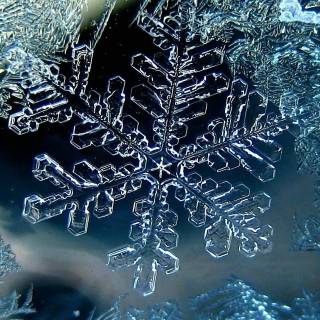 Snowflakes desktop wallpaper