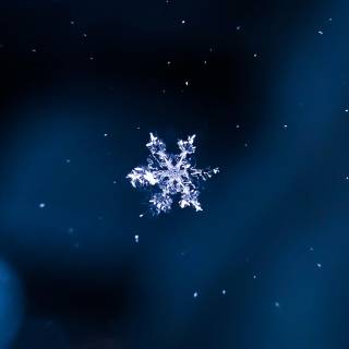 Snowflakes desktop wallpaper