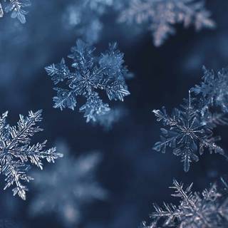 Snowflakes desktop wallpaper