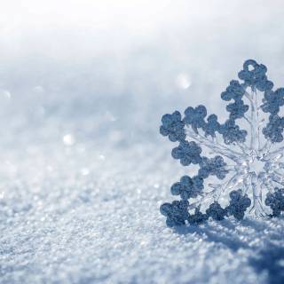Snowflakes desktop wallpaper