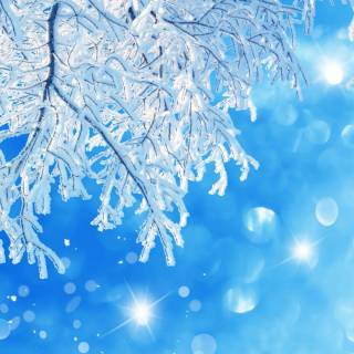 Snowflakes desktop wallpaper