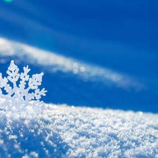 Snowflakes desktop wallpaper