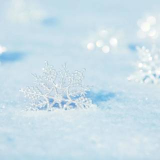 Snowflakes desktop wallpaper