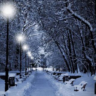 Snowflakes desktop wallpaper