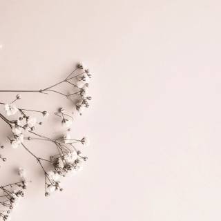 Skincare desktop wallpaper