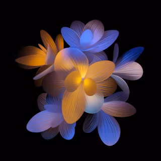 Aesthetic flower 4k wallpaper