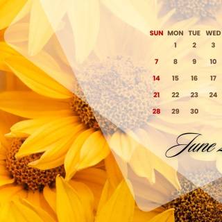 June 2026 calendar wallpaper