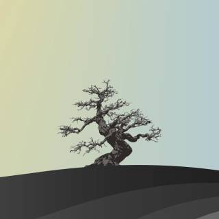 Phone 4k minimalistic wallpaper