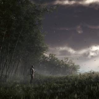 Bamboo forest 4k wallpaper