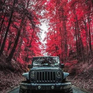 Phone Jeep wallpaper