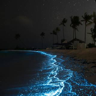 Night sea phone wallpaper