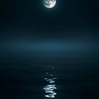 Night sea phone wallpaper