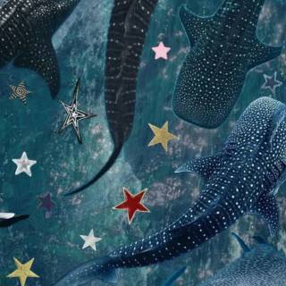 Whale shark phone wallpaper