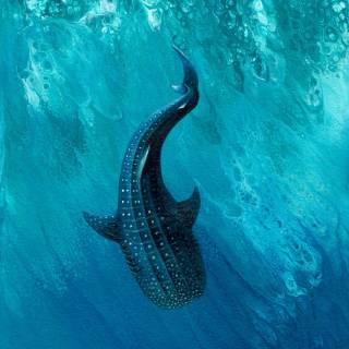 Whale shark phone wallpaper