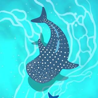 Whale shark phone wallpaper