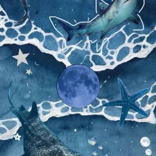 Whale shark phone wallpaper