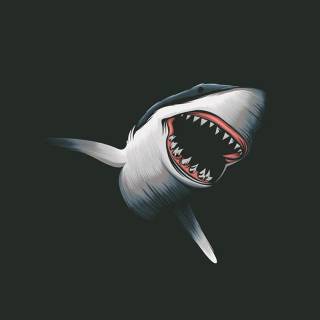 Whale shark phone wallpaper