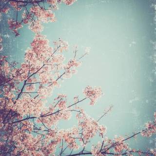 Vintage Japan phone wallpaper