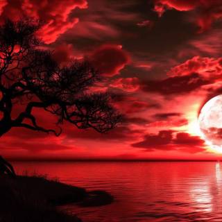 Desktop dark red wallpaper