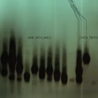 Desktop album covers wallpaper