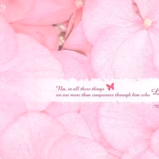Pink Bible desktop wallpaper