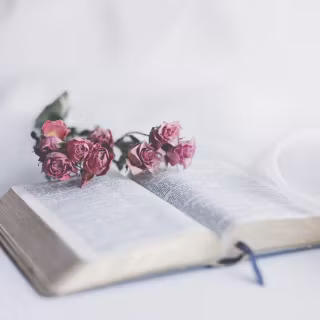 Pink Bible desktop wallpaper
