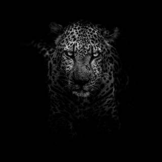 Cool black desktop wallpaper