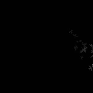 Cool black desktop wallpaper