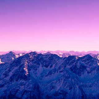 Purple desktop collage wallpaper