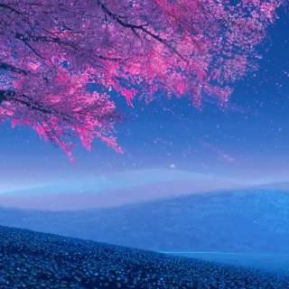 Anime view desktop wallpaper