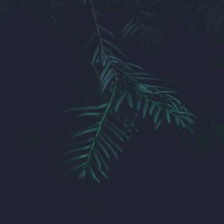 Desktop aesthetic dark wallpaper