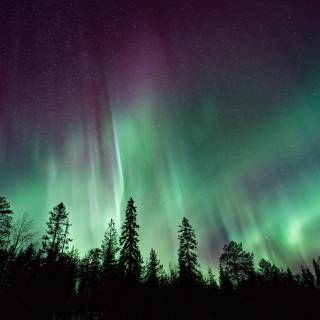Aurora borealis desktop wallpaper