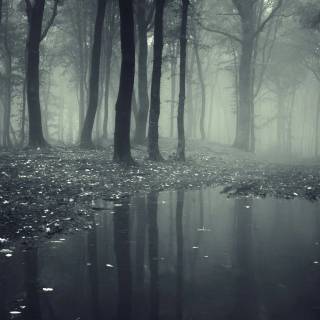 Dark rain desktop wallpaper