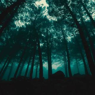 Dark rain desktop wallpaper