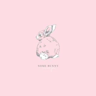 Desktop bunny wallpaper