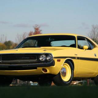 Muscle cars desktop wallpaper