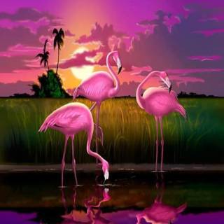 Flamingo mobile wallpaper