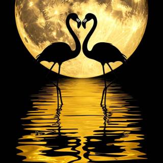 Flamingo mobile wallpaper