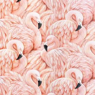 Flamingo mobile wallpaper