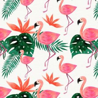 Flamingo mobile wallpaper