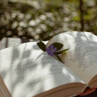 Mobile books wallpaper