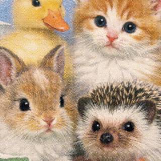 Cute animals mobile wallpaper