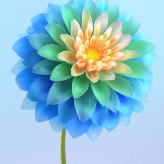 Vivo Y93 mobile wallpaper