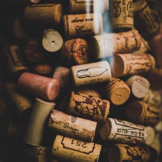 Wine and beige wallpaper