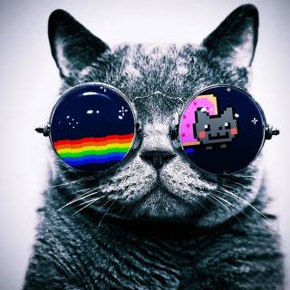 Cats with glasess computer wallpaper