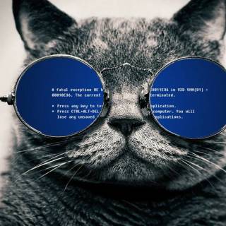 Cats with glasess computer wallpaper