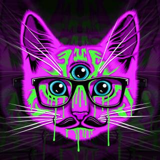 Cats with glasess computer wallpaper